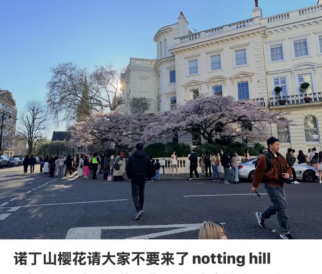 中国留学生被骂爆！伦敦诺丁山樱花遭疯狂打卡拍照，居民彻底怒了（组图） - 9