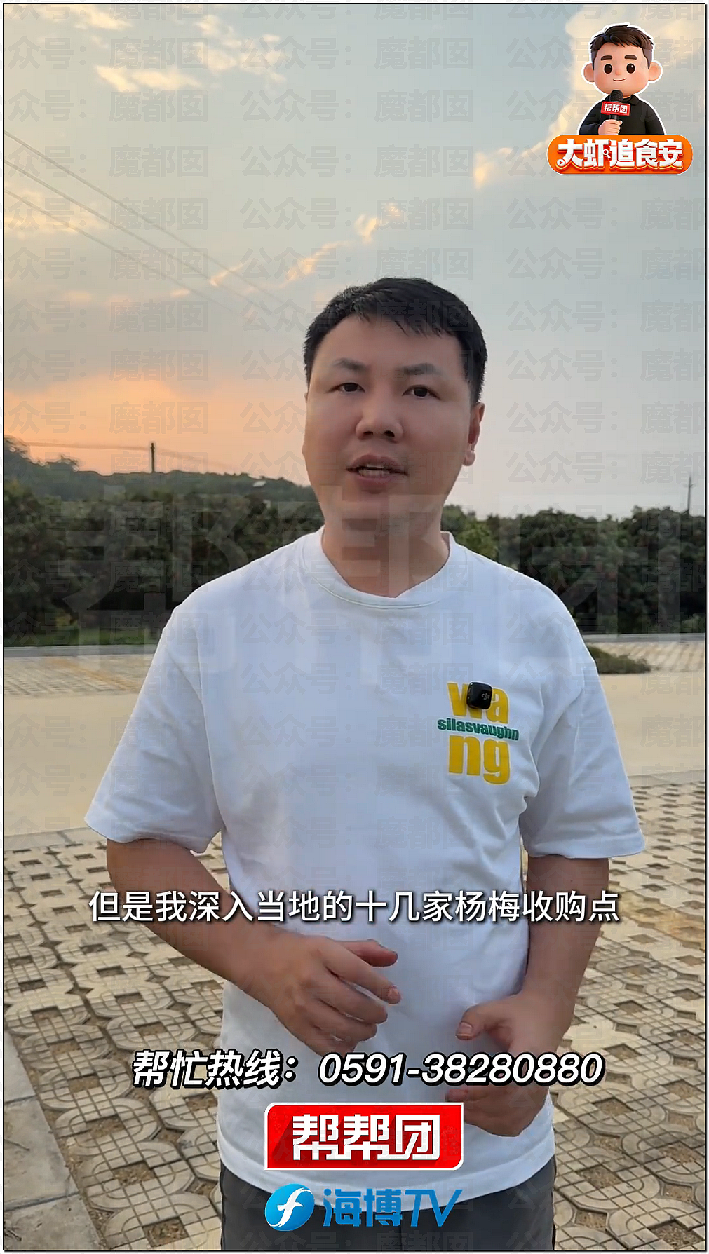 气到发抖！我们吃了那么多年杨梅竟都浸泡防腐剂和化学糖精（组图） - 20