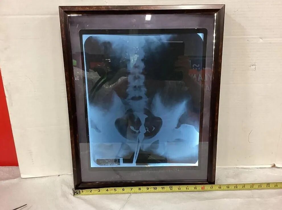 梦露过世60年,她的胸罩、骨盆X光片还在被反复拍卖?!连墓地旁边都有人抢...(组图) - 6