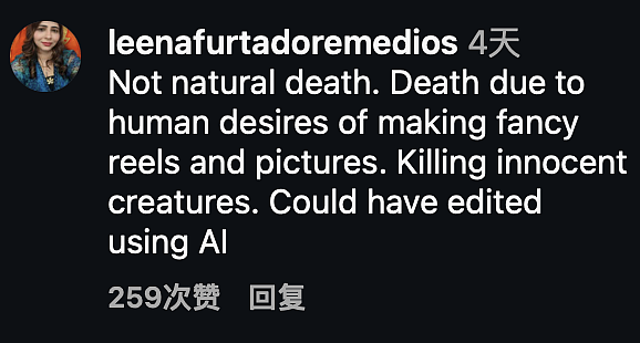 俄罗斯摄影师为出片将一只老象全身涂成粉色，3个月后大象死亡，摄影师被骂惨（组图） - 25