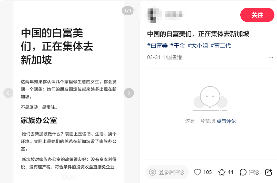 中国的白富美们，正在扎堆奔赴新加坡？！（组图） - 1