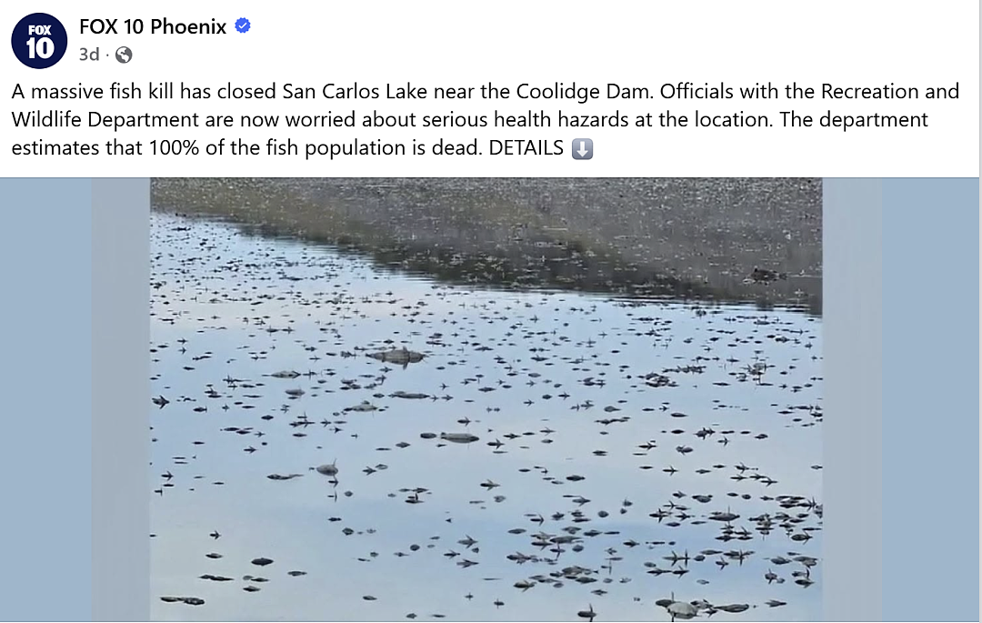 美国惊现“死亡湖”!湖中鱼类几乎100%死亡,官方紧急无限期封湖(组图) - 1