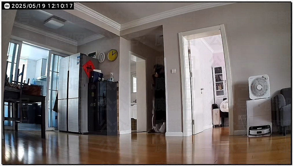 炸裂！表妹哺乳期出G已婚表哥，8年妻子竟默许，完整版监控曝光！（组图） - 74