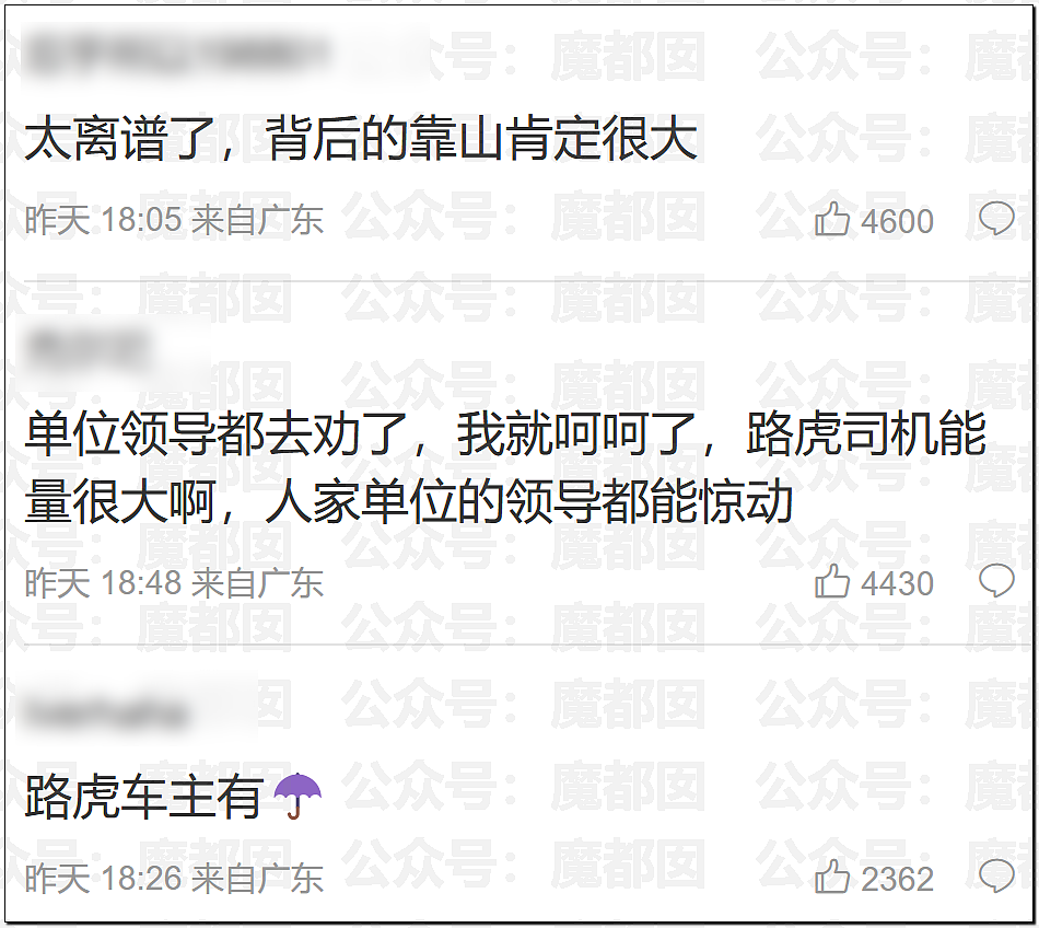 全网质疑：1分钟别停奔驰8次的路虎车主，到底是哪位达官显贵？（组图） - 46