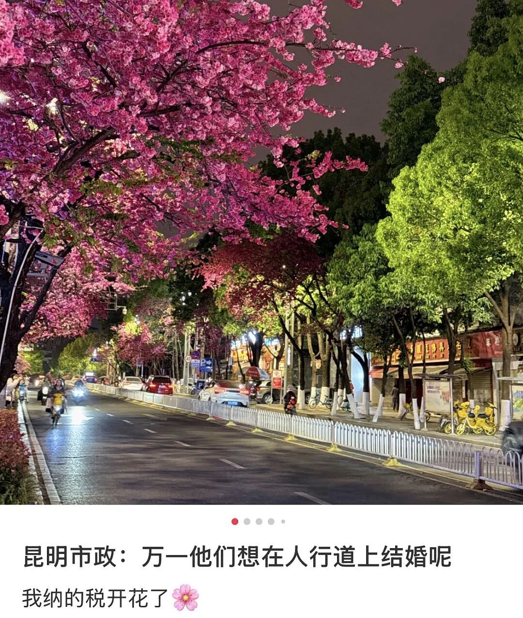 “绿了全世界”的中国,彻底震碎老外三观(组图) - 8