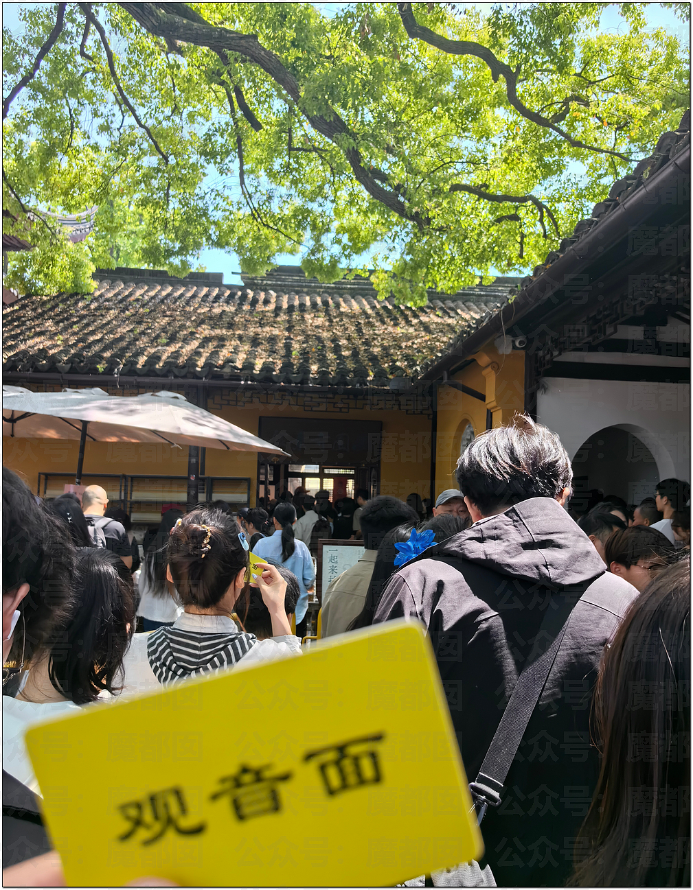 肉贴肉，人挤人！五一长假首日，中国各大景点已爆（组图） - 34