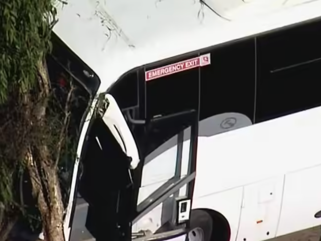 惨烈!悉尼校车失控撞树,车上载有41名学生和1名教师!事故造成多人受伤(组图) - 4