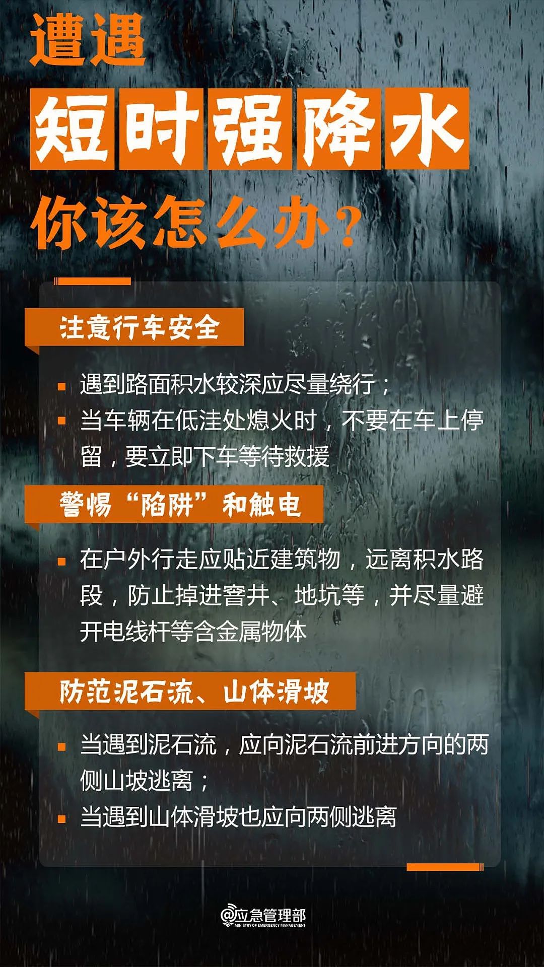 “整栋楼被掏空”，男子住12楼被大风“吸出”坠入绿化带，家属：还在ICU - 13