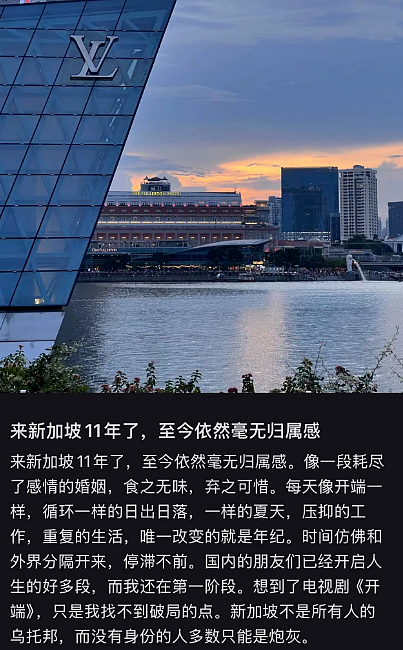 在新加坡的中国打工人，正被PR“身份等级”支配：恐失业、怕回国、越卷越慌... - 15
