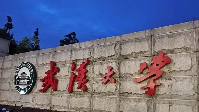 OPPO母亲节文案引争议，武汉大学文学院发声：极感诧异和震惊（组图） - 1