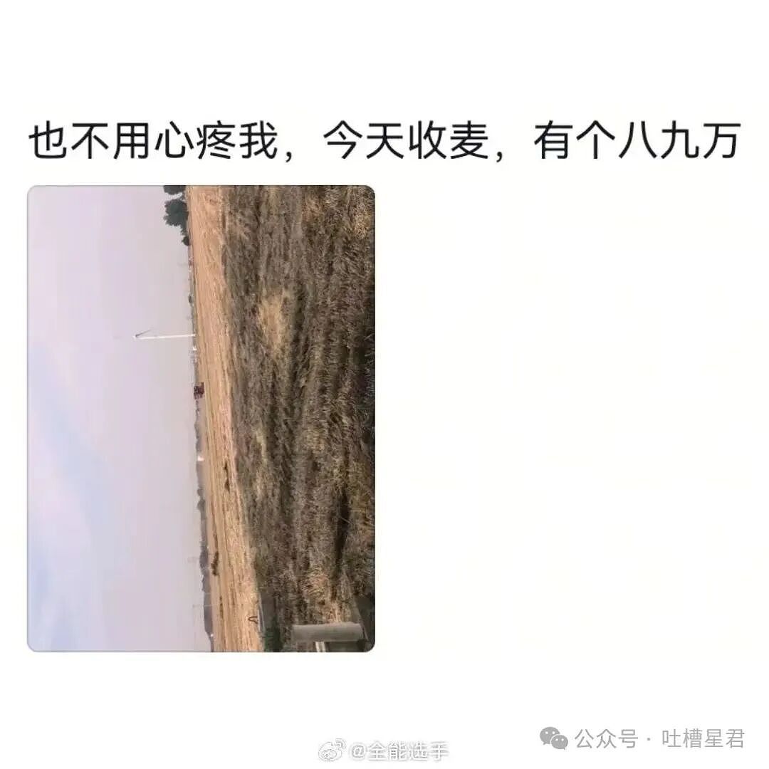 “看起来不体面的工作能挣多少钱...?”哈哈哈早知道不心疼你们了(组图) - 7