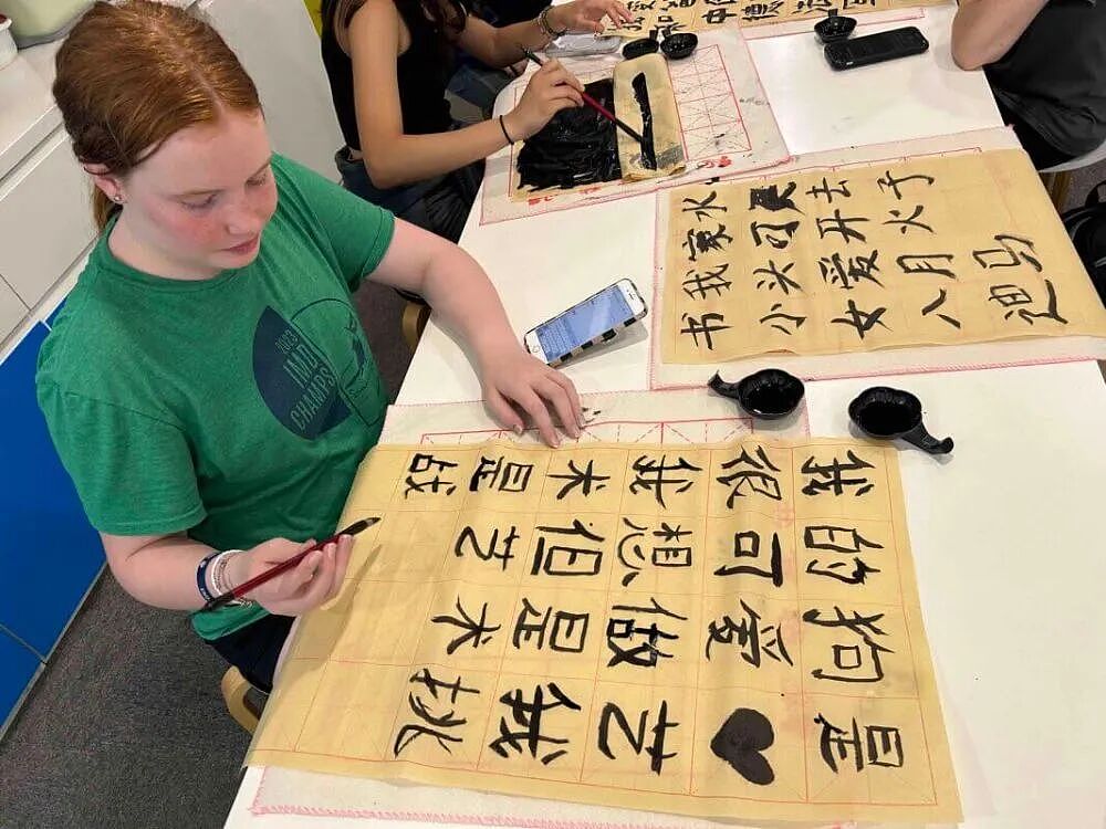 中文等亚洲语言在澳洲学校快要消失!澳洲议会警告:必须改变,否则不利于国家安全! - 5