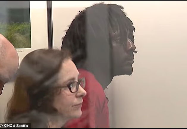 随机枪杀亚裔孕妇和腹中孩子，凶手被判“精神失常不负刑责”（组图） - 9