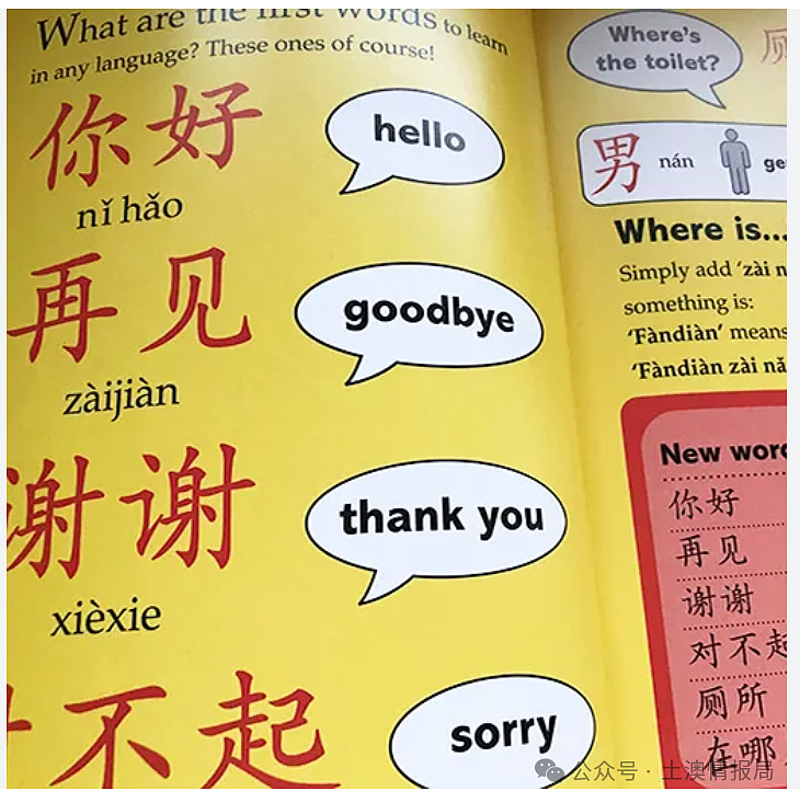 政策完全失败，澳洲人根本不学（组图） - 5