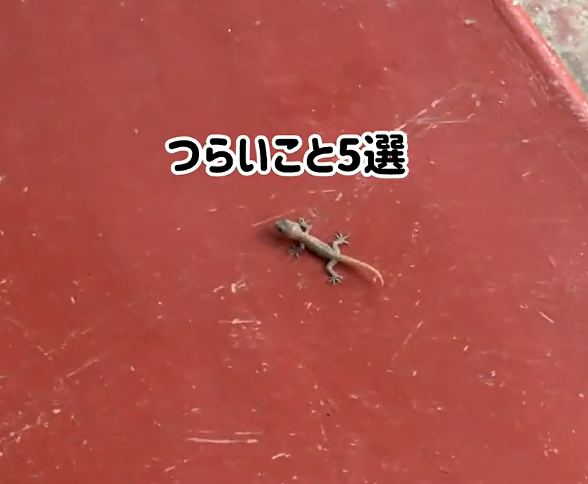 日本早稻田大学女生赴印度住院1个月，把油灌进眼睛和肠道，只为体验排毒！日网友：不脏吗？ - 7
