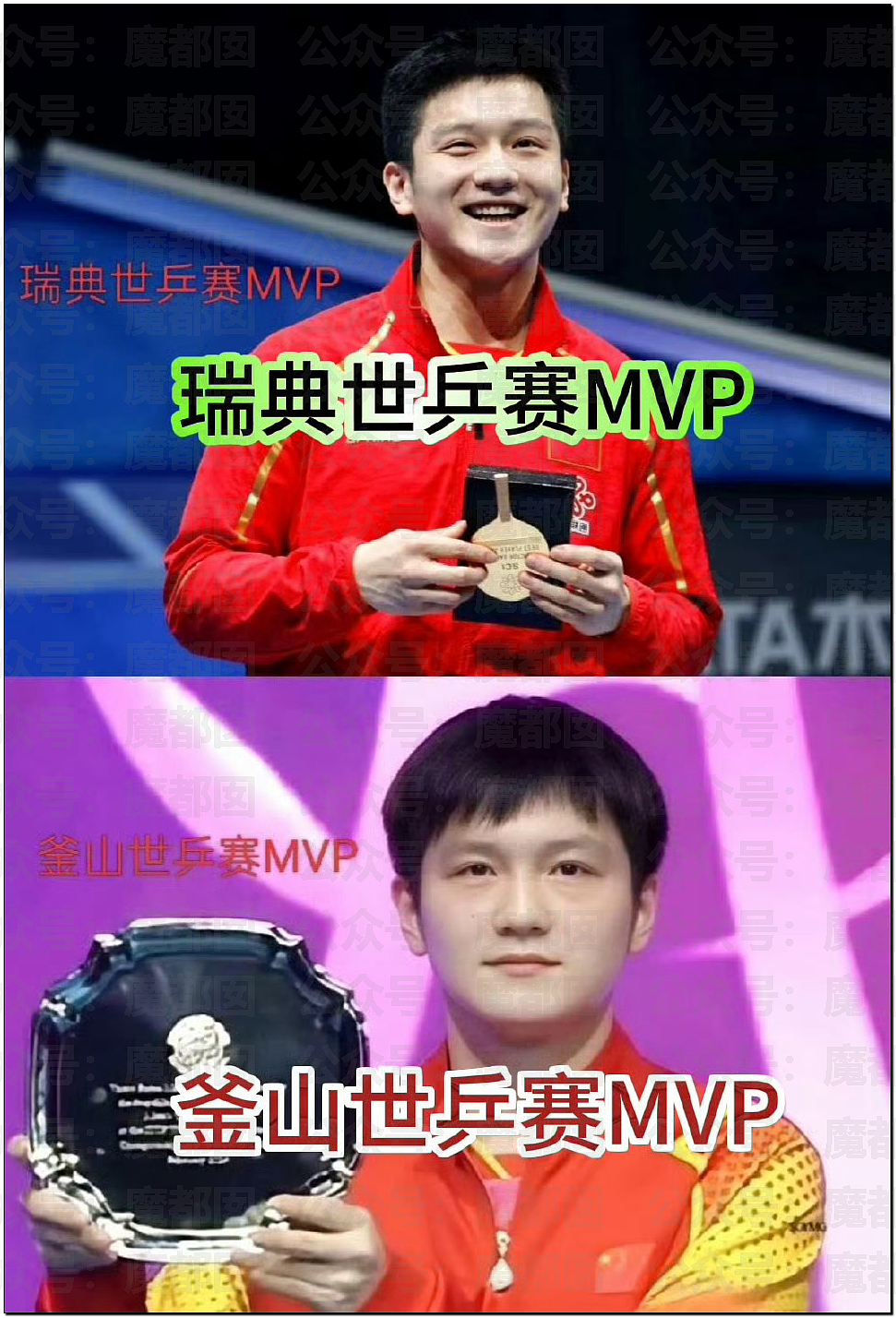 鞠婧祎税务调查结果出炉！到底是谁那么恨樊振东？脸都不让露？（组图） - 35