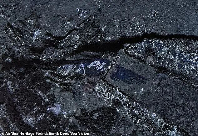 52人死亡! 飞机迫降海面后找不到救生衣，乘客绝望溺亡，残骸被找到（组图） - 5