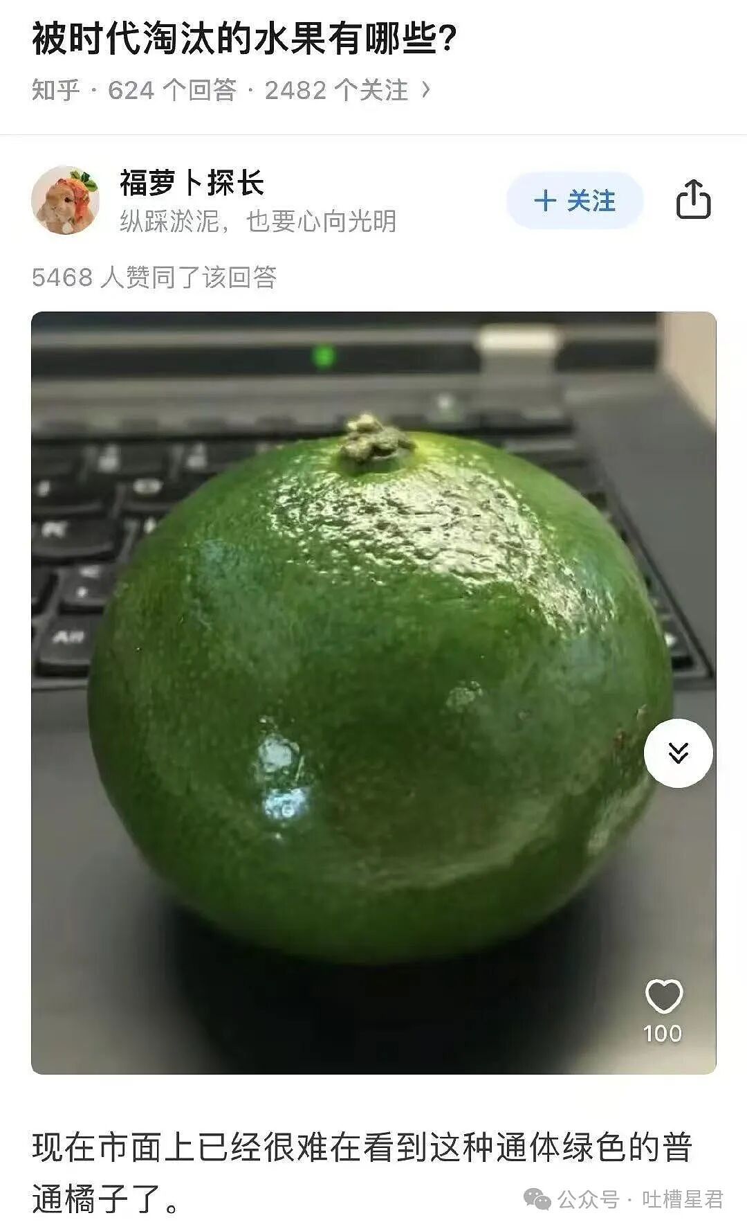 “有哪些以前很火现在被淘汰的水果...?” 这些才是真正的意难平(组图) - 3