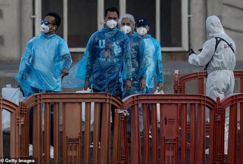 病毒邮轮“零号病人”已确认!去垃圾场观鸟,然后就悲剧了... - 4