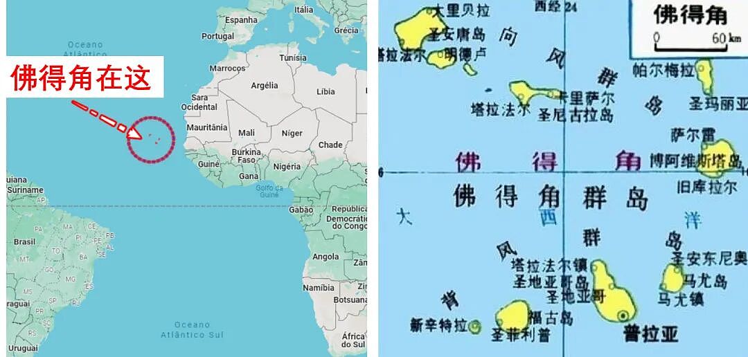 24小时涨粉1300万！世界杯最牛黑马出现了：看得人想哭……（组图） - 5
