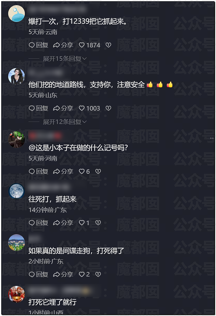 惊悚!全国各地树上忽然集中出现大量诡异奇怪符号!真相是? - 38