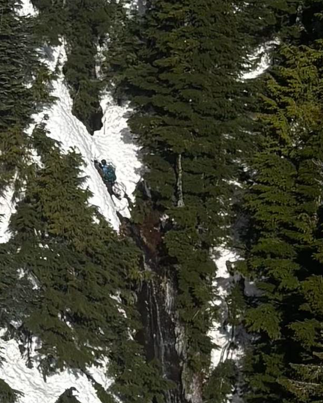 心碎! 华人游客登山出事，为救同伴坠落百米身亡！家属面临天价账单! - 5