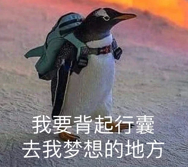 取代日本成第一！赴华游客暴涨58%，中国逆袭成新加坡旅游“顶流”（组图） - 1