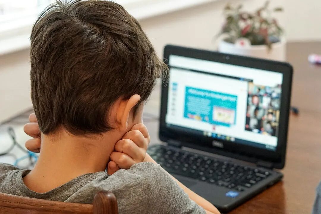 一年学费不到30万，美国在线高中挤满了华人孩子...（组图） - 14