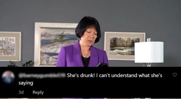 “滚回中国!” 多伦多华裔市长发视频,霸气回怼种歧言论(视频/组图) - 3