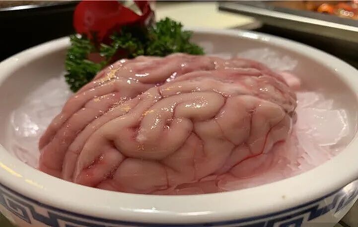 美国公司用“缸中大脑”试药?肉身已死,脑子用机器吊着,维持着... 不算死也不算活... - 3