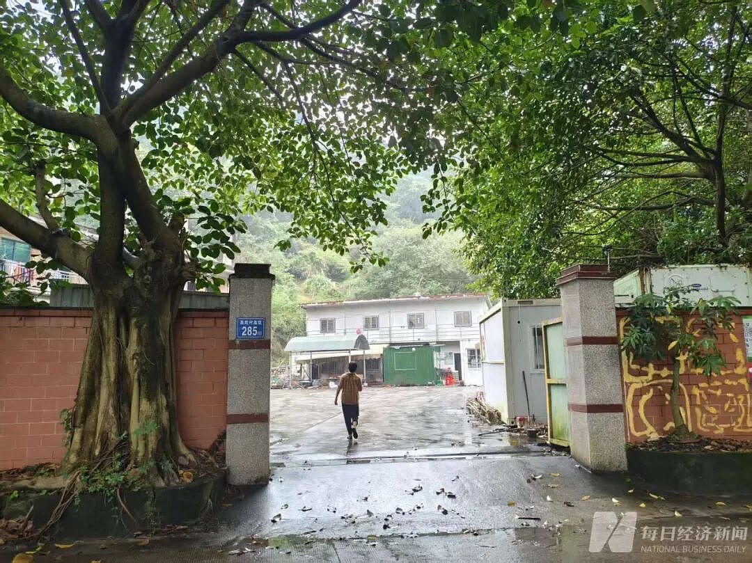 杨梅泡药风波发酵，收购价暴跌至不到2元！老实果农被坑惨（组图） - 2