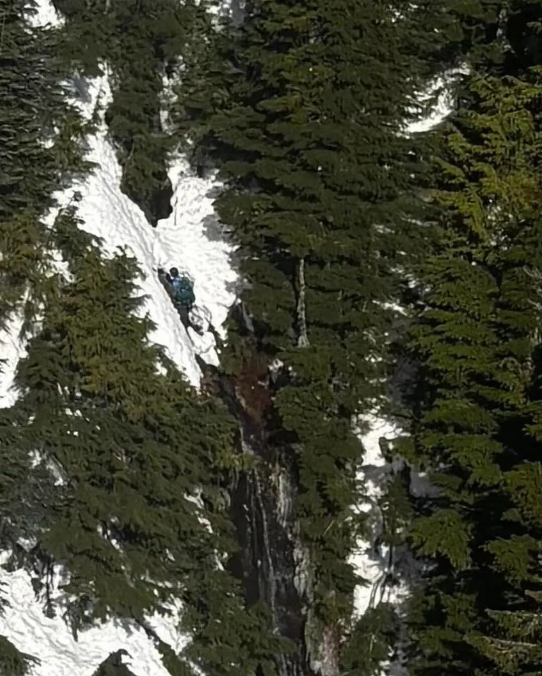 悲剧！华人游客北美登山，为救同伴坠落百米身亡！家属背上天价账单：ICU一天1.8万（组图） - 5