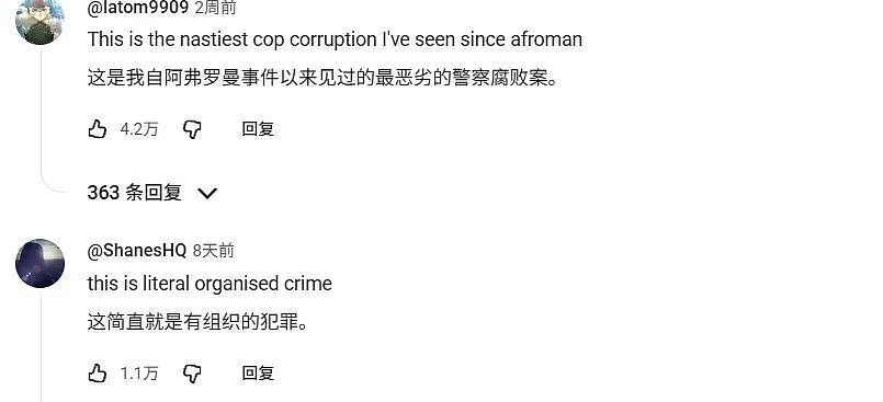 全网吃瓜！一小伙想帮老人寻回天价乐高，反扯出美国最大诈骗案……（组图） - 20