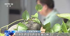 “30人拼单，29人是托儿”