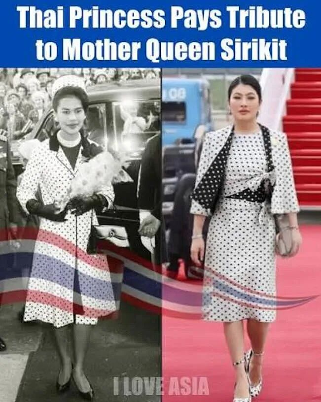 亲女儿去世才两周，泰王却急忙飞法国，下飞机头等大事竟是... 买私人飞机？！ - 18