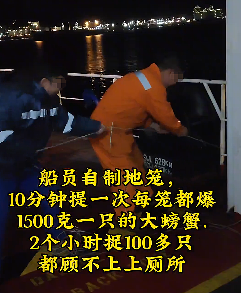 炸锅! 两名华人在加拿大捕捞大量珍宝蟹:,在船上现蒸