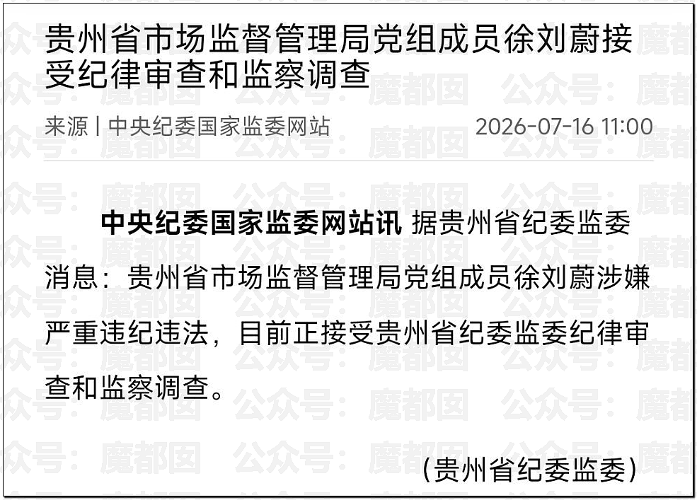 曾把王健林惹到当场翻脸爆粗!年轻县长官宣被查(组图) - 23