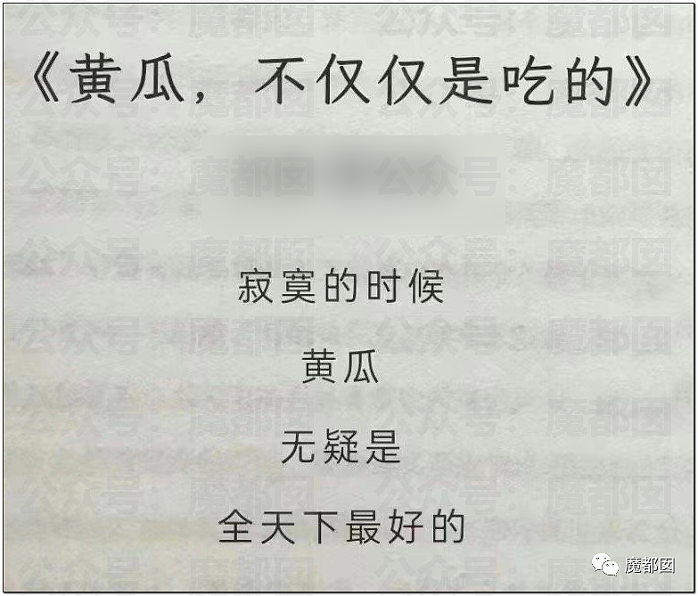 文坛巨匠贾平凹和女儿超美诗人贾浅浅被扒疑似大量抄袭(组图) - 69