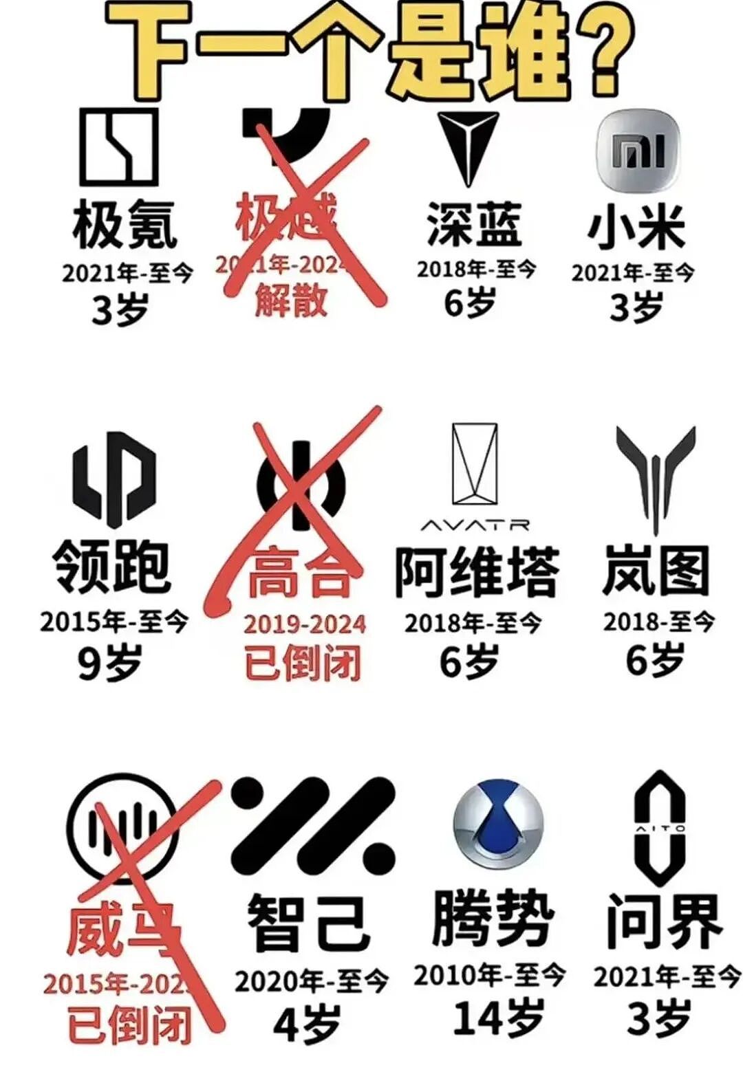 中国电动汽车大逃杀!九成品牌消失,百万“孤儿车主”求助无门(组图) - 8