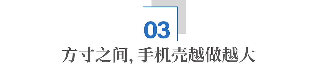 中东土豪爱上中国手机壳:百元高价仍卖断货(组图) - 14