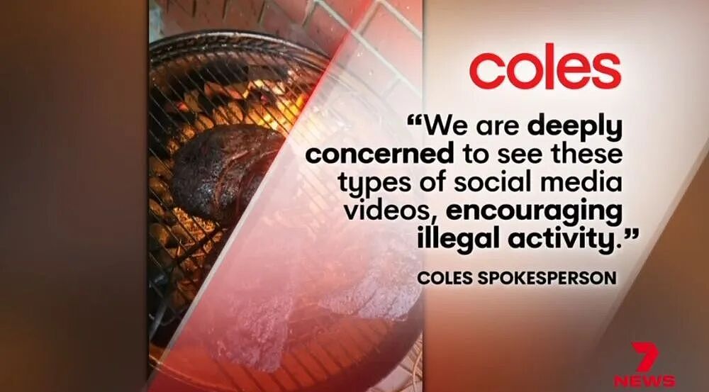 澳洲一做饭博主引发巨大争议!Coles、WWS怒斥:教人犯罪! - 11