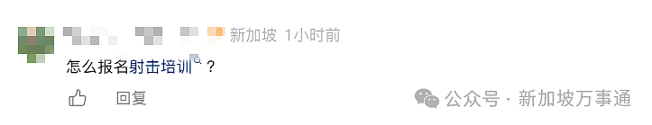 新加坡“黑帮”惨遭围剿!全岛9区紧急射杀,1天击毙16名成员(组图) - 12