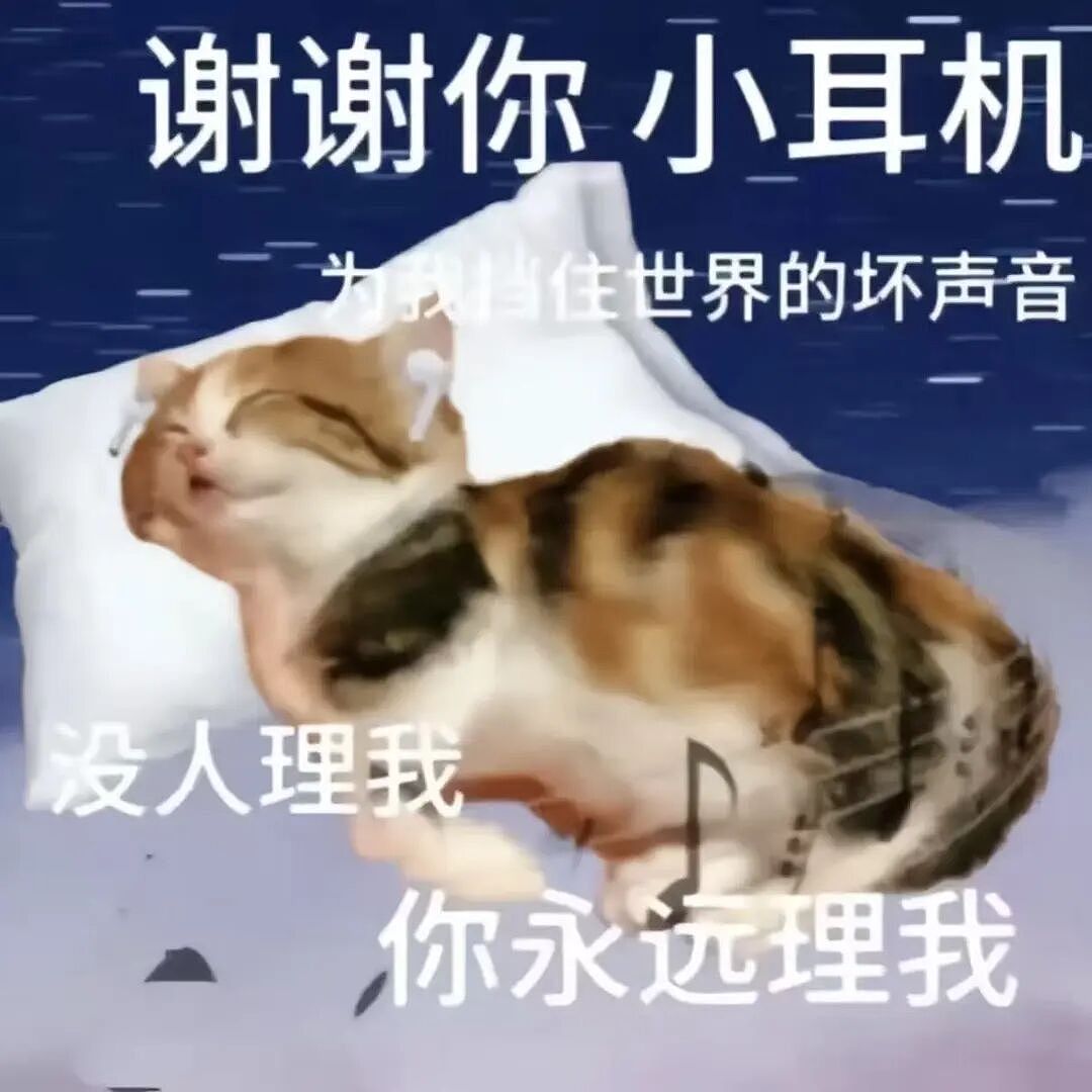 靠降噪耳机躲避社交的年轻人,处在耳朵“过劳死”的风险中(组图) - 3