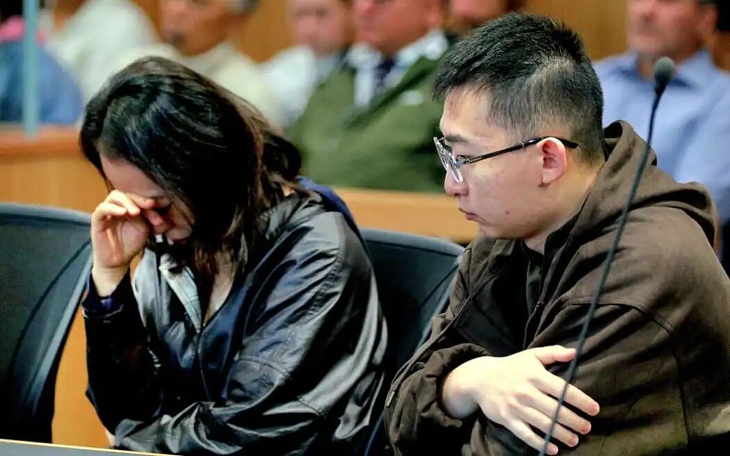 新西兰首例！华人母子带几块石头回中国，被罚$5000…（组图） - 9