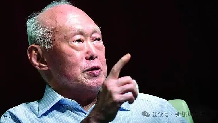 在新加坡的中国打工人，正被PR“身份等级”支配：恐失业、怕回国、越卷越慌... - 24
