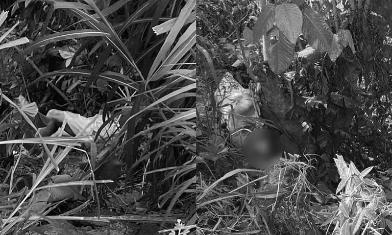 男子菲律宾绑架多人被移交中国警方！中企高管、网红遇害都与他有关？ - 11