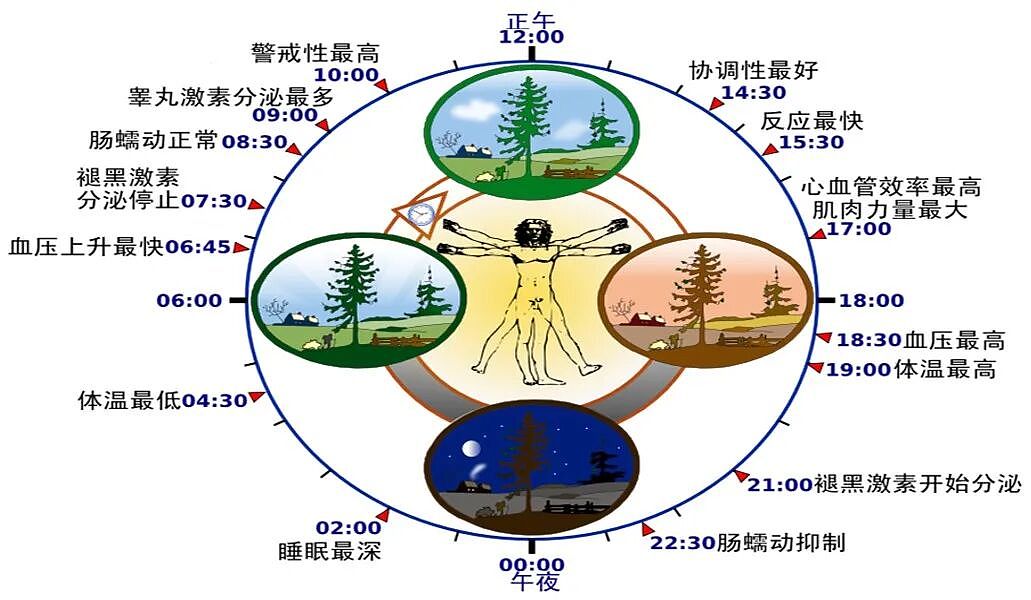 澳洲营养师告诉你，澳超常见的这个1刀食物，睡前吃大有好处 - 2
