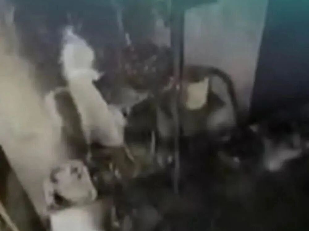 家中常用物品突然爆炸，澳洲男子全身75%烧伤！消防：平均每周3起火灾由它而起 - 2