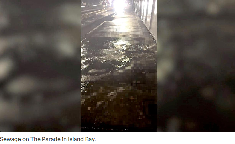 恶臭弥漫整条街!惠灵顿暴雨后污水井喷发!居民开门就是“粪水河”!(组图) - 4