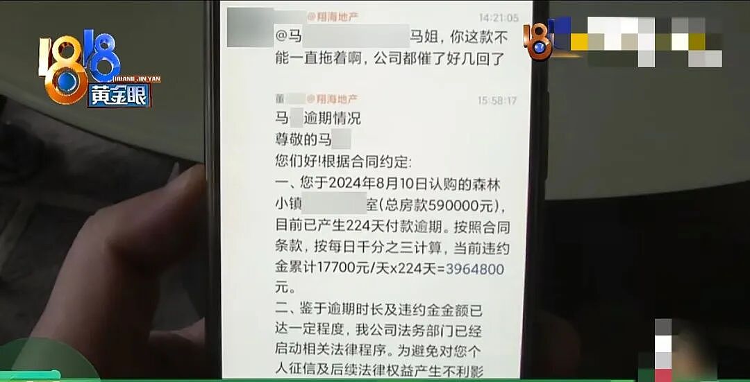 老人旅游时分期购入59万元海景房,支付37.6万后无力还款,逾期224天被告知违约金近400万 - 6